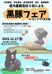 1765269111304 1765269111304